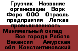 Грузчик › Название организации ­ Ворк Форс, ООО › Отрасль предприятия ­ Легкая промышленность › Минимальный оклад ­ 24 000 - Все города Работа » Вакансии   . Амурская обл.,Константиновский р-н